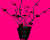 Vampyrum Red Roses