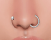 Nose Piercings - SILVER