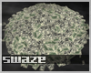 Big Money Pile
