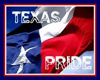 Texas Pride Poster
