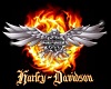 Harley Davidson Club Dec