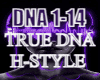 TRUE DNA HARDSTYLE