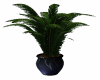 SN Blue potted plant 2