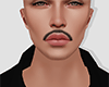 Bigodin Finin