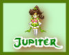 Tiny Sailor Jupiter 2