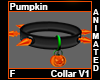 Pumkin Collar F V1