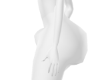 PB Butt Scaler 160