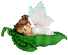 baby fairy
