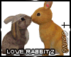 S N Love Rabbits 2
