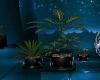 Set Tris Plant
