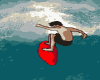 Surfing dude