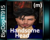 [BD]HandsomeHead (m)