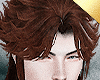 ✶Destroyer Brown