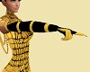 CW15 Long Gloves
