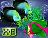 XB- FISH ENHANCER 1
