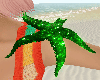 Green Moon Starfish ⋆