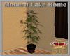 MLH Tall Bamboo Plant