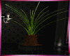 [I] The Revu Plant