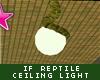 rm -rf IfReptile Ceiling