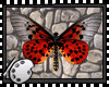 (*A) Butterflies VI