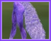 Lavender Tail