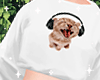 ♡ Sweater Cat MEME