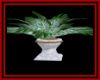 marble plant vl 1