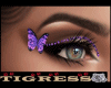 Purple Butterfly Eyes