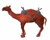Red camel