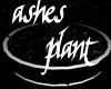 *TY Ashes to Ashes Pot'd