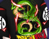 Shen Long