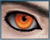 Fox Fire Eyes