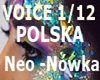 VOICE 1/12 Neo Nówka