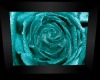 Teal Rose Picture 