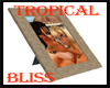 [bamz]RB tropical bliss