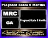 Pregnant Scale 6 Months