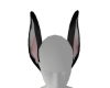Mel ears