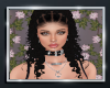 {D} Dei Braids 2
