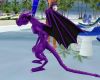 Dancing Purple Dragon