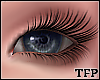 [TFP] Blue Eyes