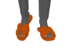 ORANGE ORAN SLIDES