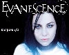 evanescence bring 1/2