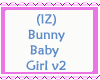 Bunny Baby Girl v2