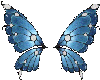 blur wings