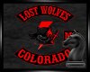 Lost Wolves MC Banner