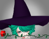 Schierke Witch Hat