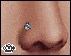 [K]Nose Diamond Piercing