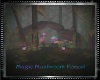 Magin Mushroom Forest PR