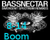 Boomerang Bassnectar8-14