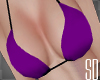 SD I Purple Bikini Top